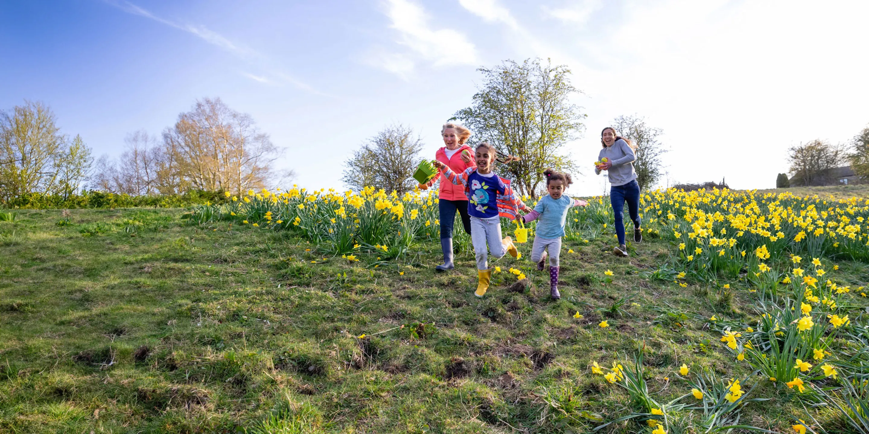 Titelbild Frühling 2025 - Frühlingswiese